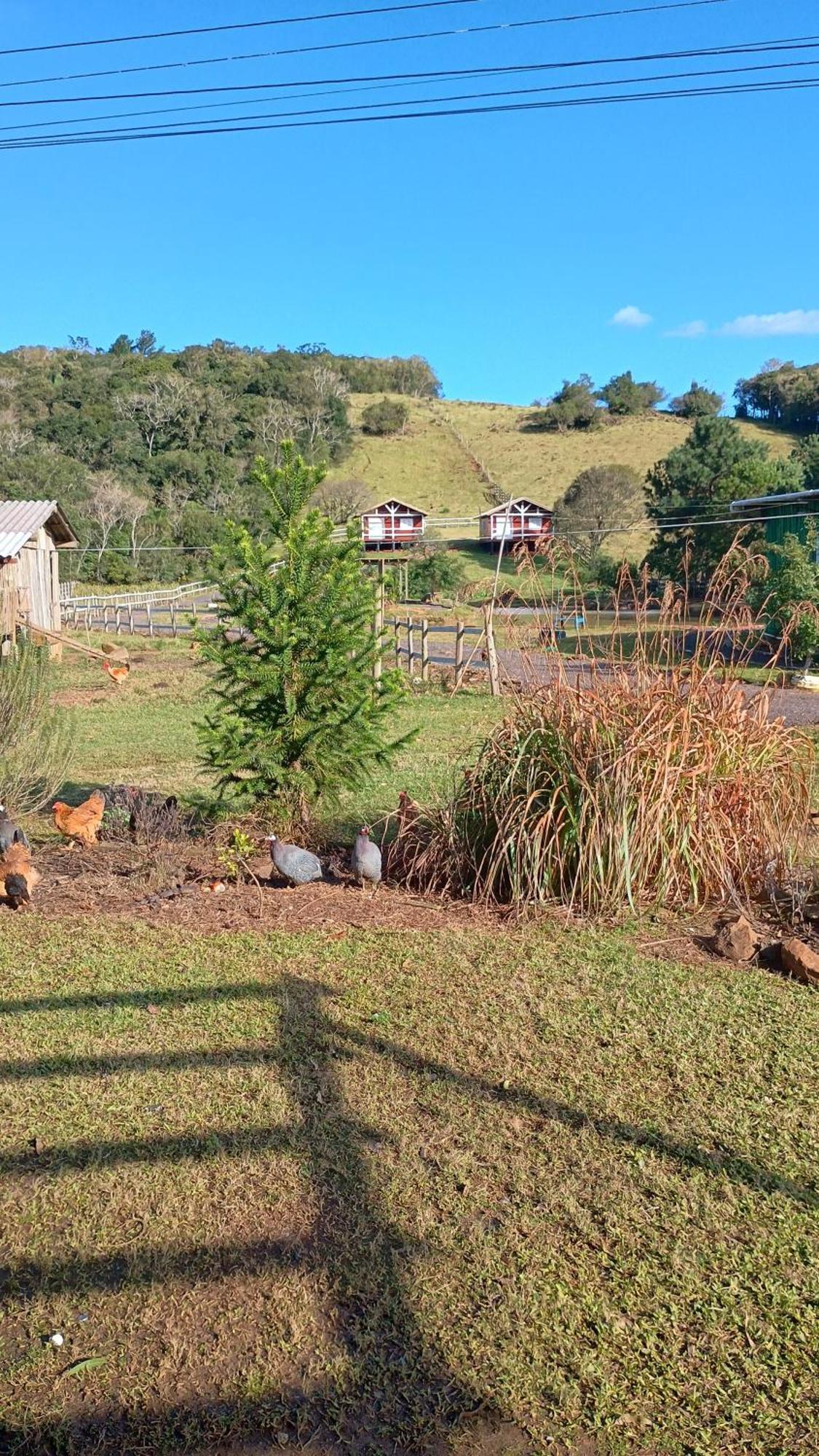 Pousada Rancho Do Lago Osorio Habitación foto